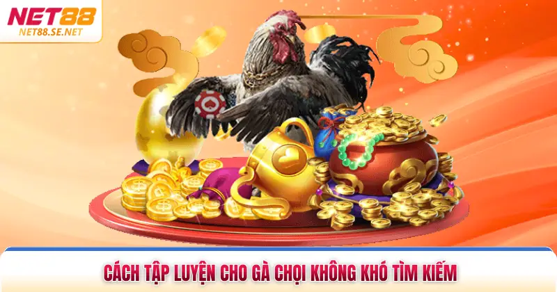 Cách Tập Luyện Cho Gà Chọi - Bí Quyết Nâng Cao Thể Lực Cách tập luyện cho gà chọi không khó tìm kiếm