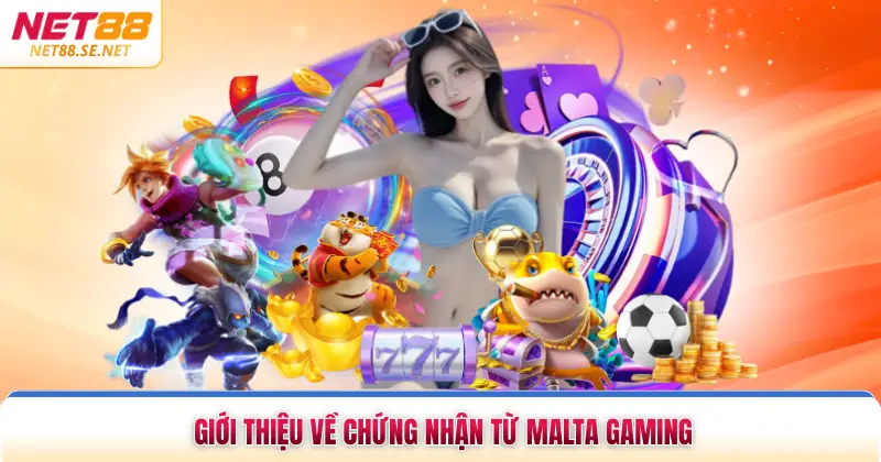 Giấy Phép Hoạt Động NET88 Khẳng Định Vị Thế Nhà Cái 2026 Giới thiệu về chứng nhận từ Malta Gaming