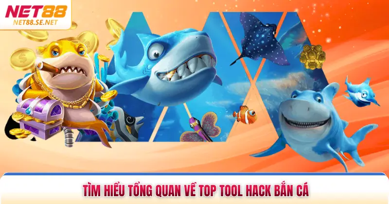 Top Tool Hack Bắn Cá - Nâng Cao Cơ Hội Thắng Lớn Tìm hiểu tổng quan về top tool hack bắn cá
